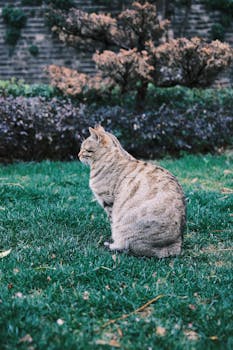 熊猫债发行热潮涌现，年内规模同比大幅攀升；多家国际机构踊跃参与，彰显人民币资产魅力。 股票财经