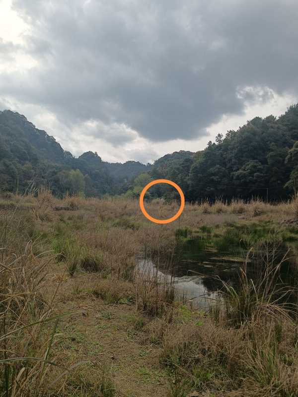  石门水库孤岛上，退休局长住了十多年；山清水秀宜养老，却也有喂食家禽的小烦恼。 文化旅游