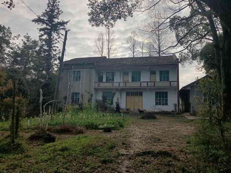  石门水库孤岛上，退休局长住了十多年；山清水秀宜养老，却也有喂食家禽的小烦恼。 文化旅游