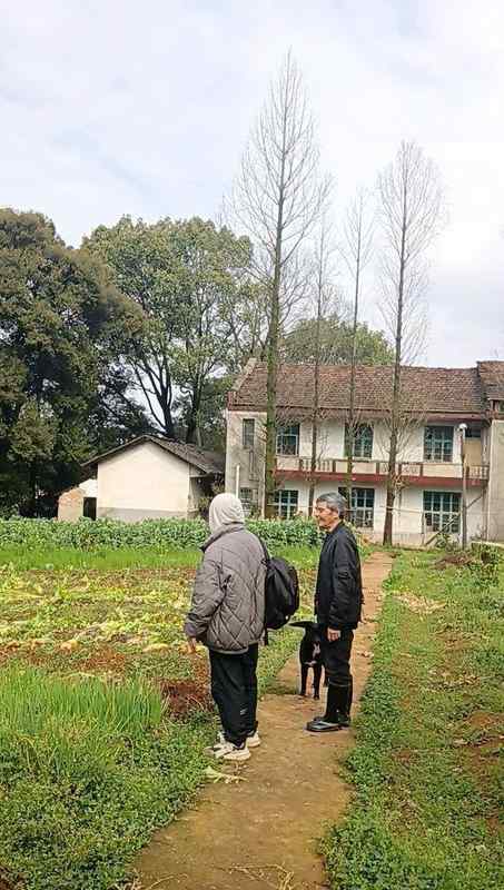  石门水库孤岛上，退休局长住了十多年；山清水秀宜养老，却也有喂食家禽的小烦恼。 文化旅游