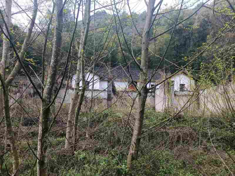  石门水库孤岛上，退休局长住了十多年；山清水秀宜养老，却也有喂食家禽的小烦恼。 文化旅游