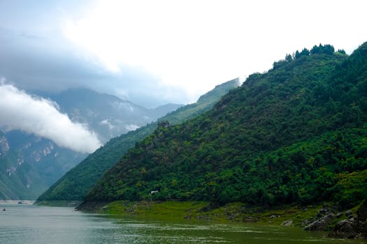 深渊边缘的告别：郴州烟花燃爆背后的生存困境与人性坍塌 情感心理