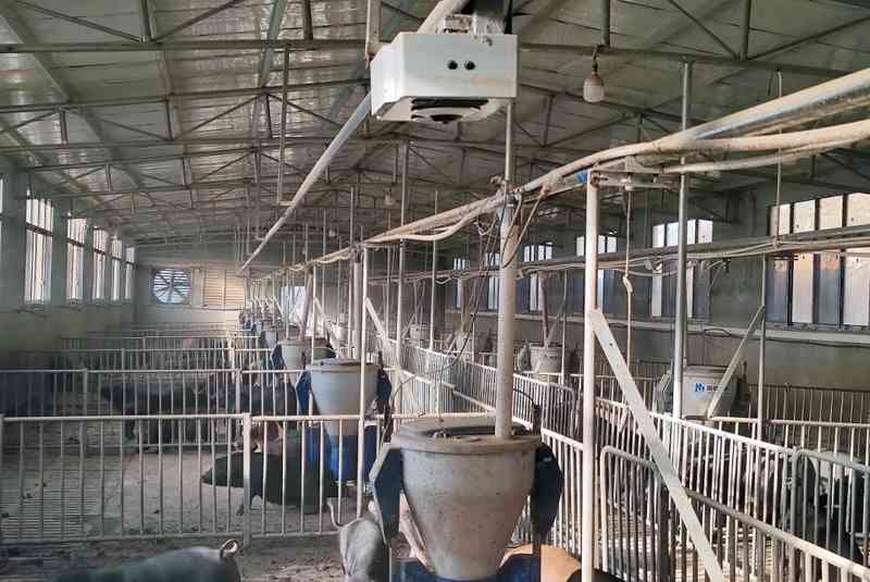  [生猪产业周期数据模型] + [如何构建数字化产能优化路径] IT技术 [生猪产业周期数据模型] + [如何构建数字化产能优化路径] IT技术