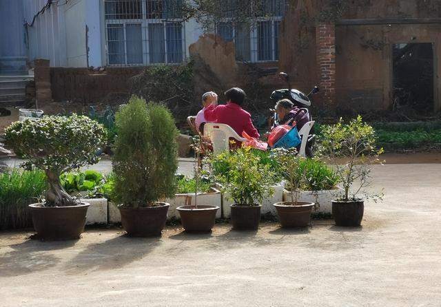  中央一号文件破局农村养老：数据拆解与制度补全路径 新闻