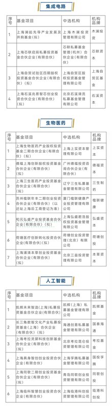  「数字经济三角战略：上海数据·区块链·AI产业集群深度解码」 IT技术