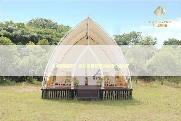 技术深度解析：高效应用管理的独特价值体系 新闻