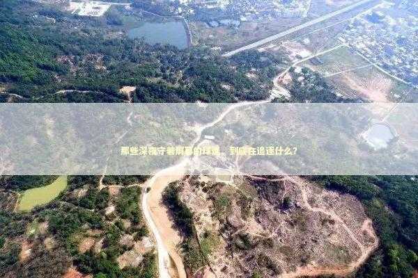 那些深夜守着屏幕的球迷,到底在追逐什么? 那些深夜守着屏幕的球迷,到底在追逐什么? 体育新闻