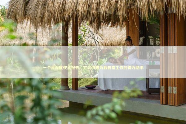 一个月深度使用报告：它如何成为我日常工作的得力助手 IT技术